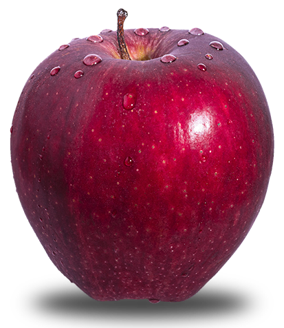 exportadora de frutas